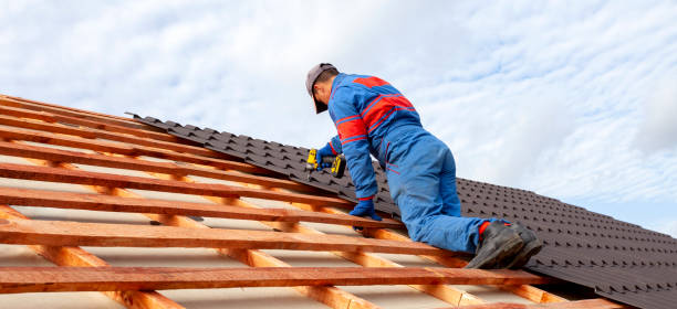 Best Roof Inspection  in USA